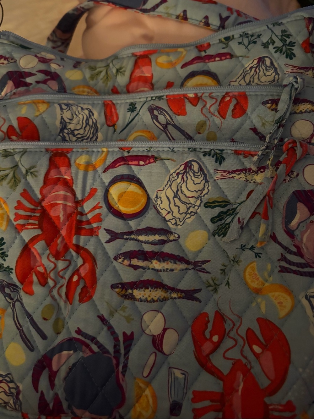 Seafood Print Quilted Pillowcase - Light Blue, Red